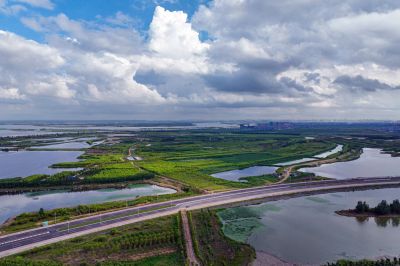 湿地
