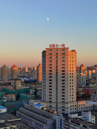 城市