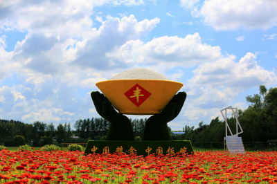 城市