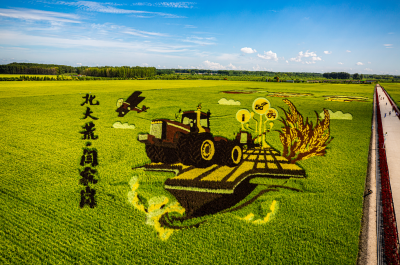 城市