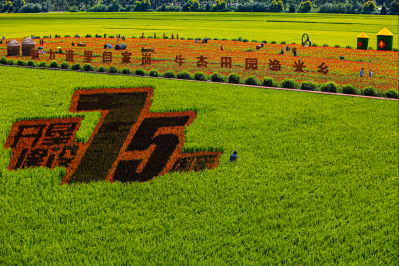 城市