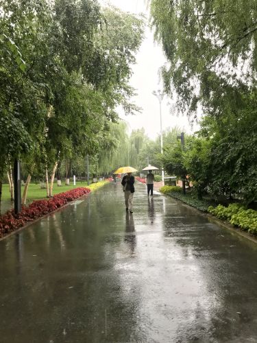 城市