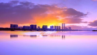 城市