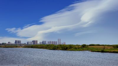 城市