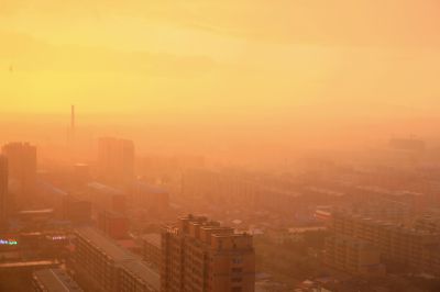 城市