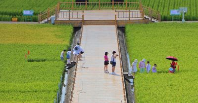 城市