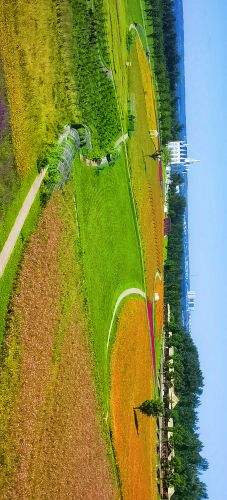 城市