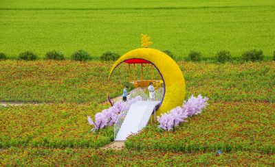 农田