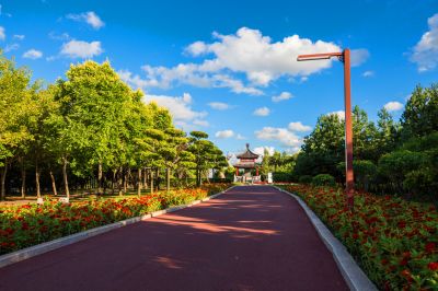 风景