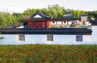 风景