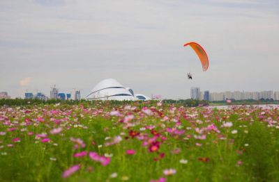风景