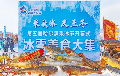 第五届哈尔滨采冰节