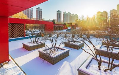 雪后的雨阳公园
