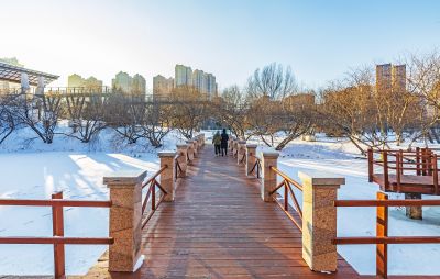 雪后的雨阳公园