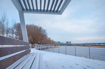 雪后哈尔滨大剧院湿地