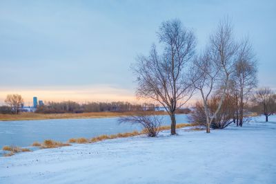雪后哈尔滨大剧院湿地