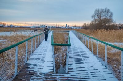 雪后哈尔滨大剧院湿地