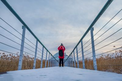 雪后哈尔滨大剧院湿地