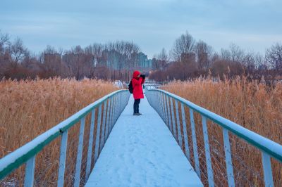 雪后哈尔滨大剧院湿地