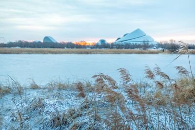 雪后哈尔滨大剧院湿地