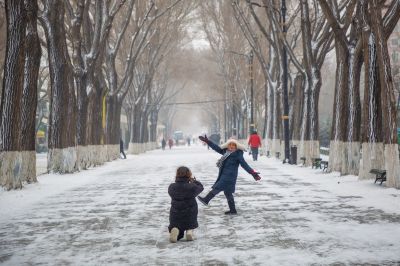 下雪的哈尔滨