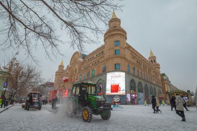 下雪的哈尔滨