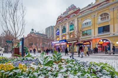 下雪的哈尔滨