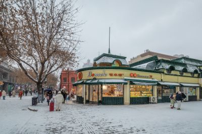 下雪的哈尔滨