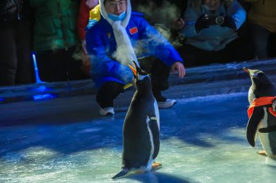 南岗开冰节