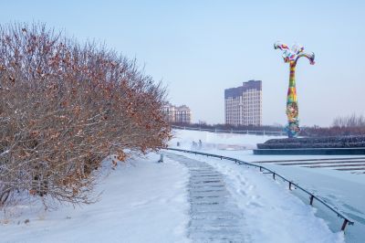 雪后的丁香公园