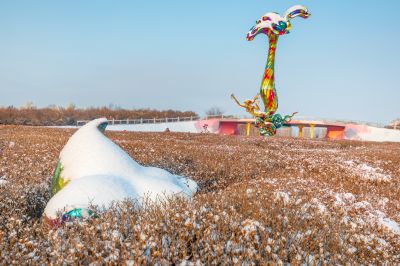 雪后的丁香公园