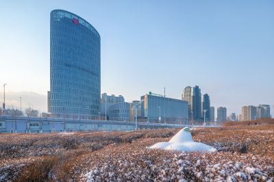 雪后的丁香公园