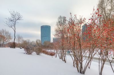 雪后的丁香公园
