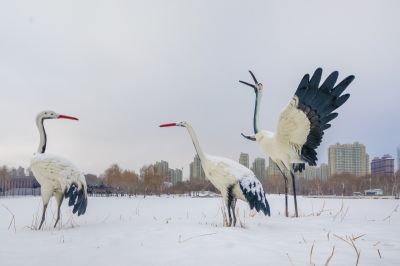 雪后的丁香公园