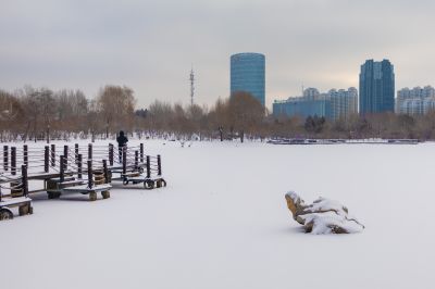 雪后的丁香公园