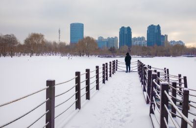 雪后的丁香公园