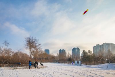 雪后的丁香公园