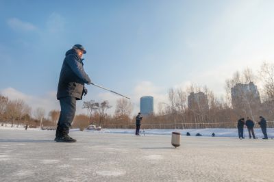 雪后的丁香公园