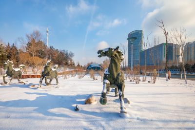 雪后的丁香公园