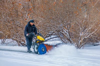 雪后的丁香公园