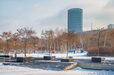 雪后的丁香公园