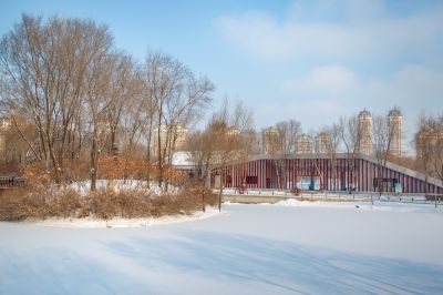 雪后的丁香公园