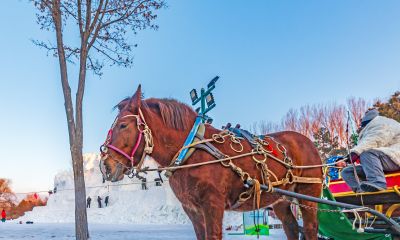 太阳岛雪博会试开园 