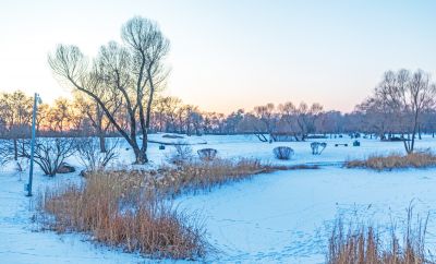 太阳岛雪博会试开园 