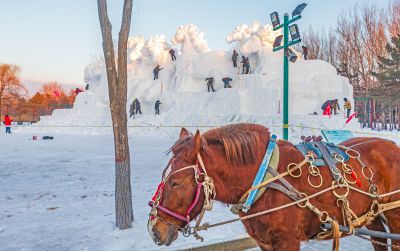 太阳岛雪博会试开园 