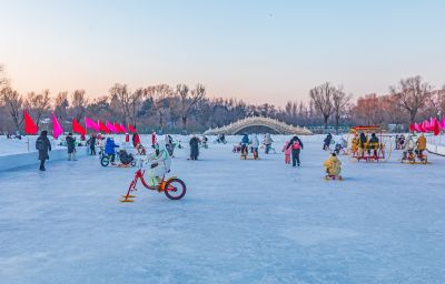 太阳岛雪博会试开园 
