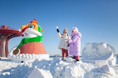 严家岗农场八百雪人迎客来