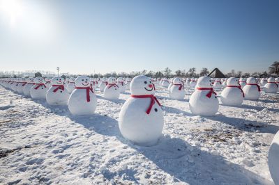 严家岗农场八百雪人迎客来