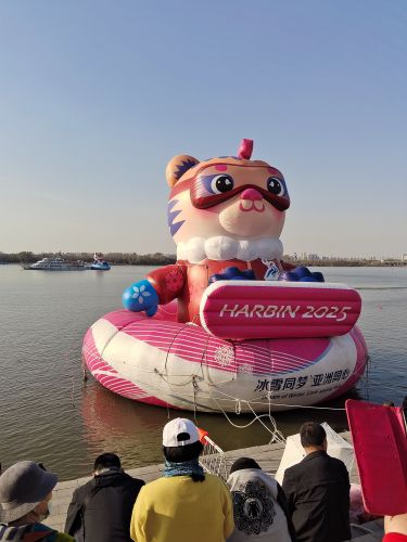 城市