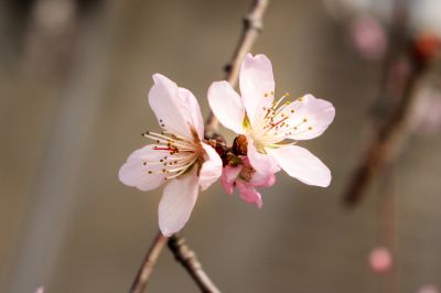 城市